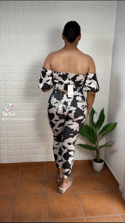 Conjuntos de Vaca. - Imagen 2
