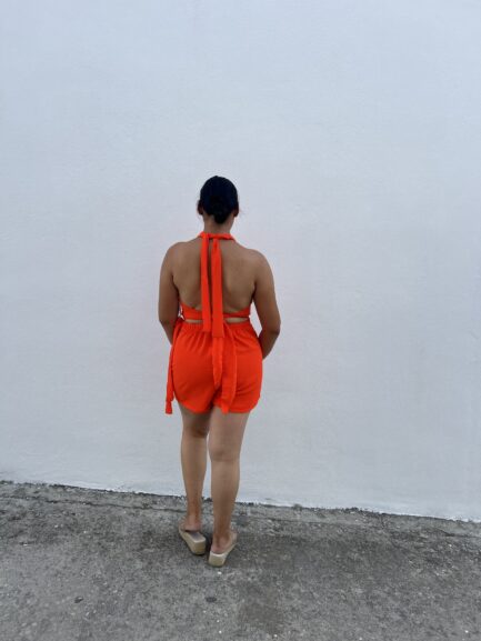 Mono Andrea. - Imagen 2